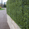 Maison et jardin durable paroi artificielle de haie pour panneau de clôture